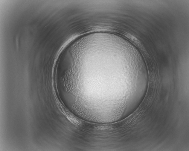 X0000051251427200507082138