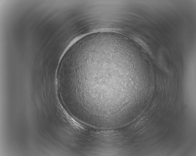 X0000051251428200507082138