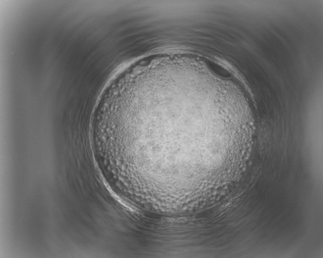 X0000051251429200507082138