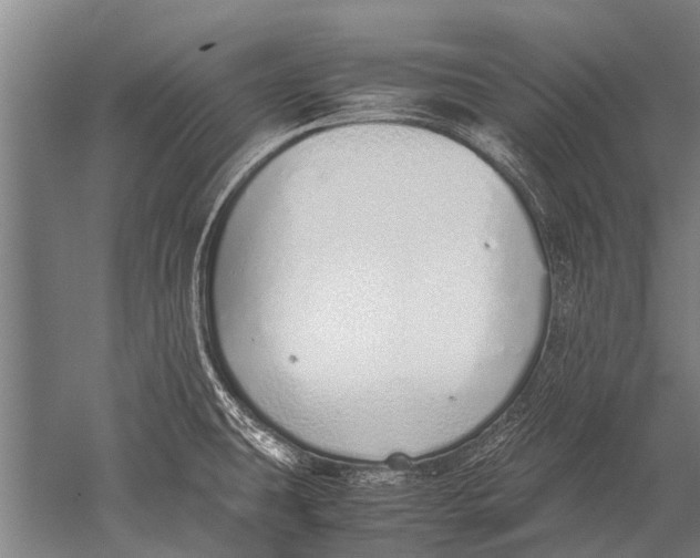 X0000051251431200507082138