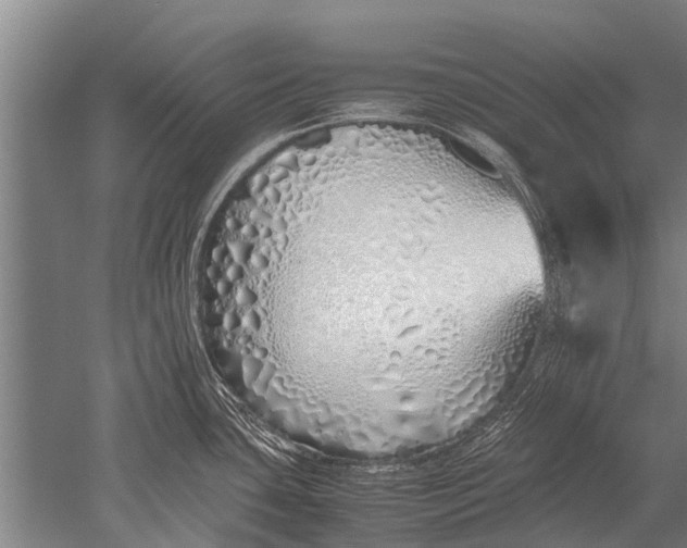 X0000051251435200507082139