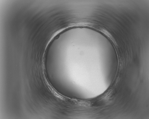 X0000051251436200507082139