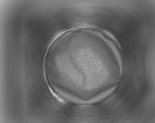 X0000051251439200507082139