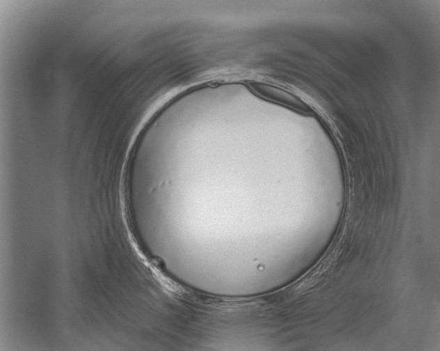 X0000051251440200507082139