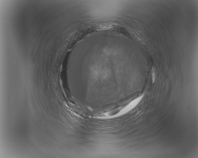 X0000051251441200507082138