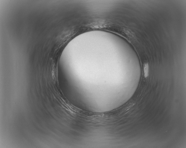 X0000051251444200507082138