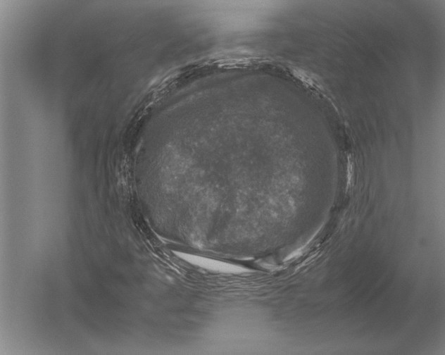 X0000051251445200507082138