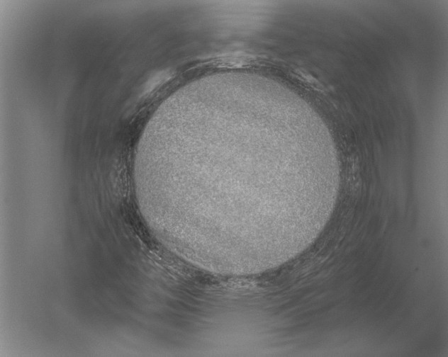 X0000051251446200507082138