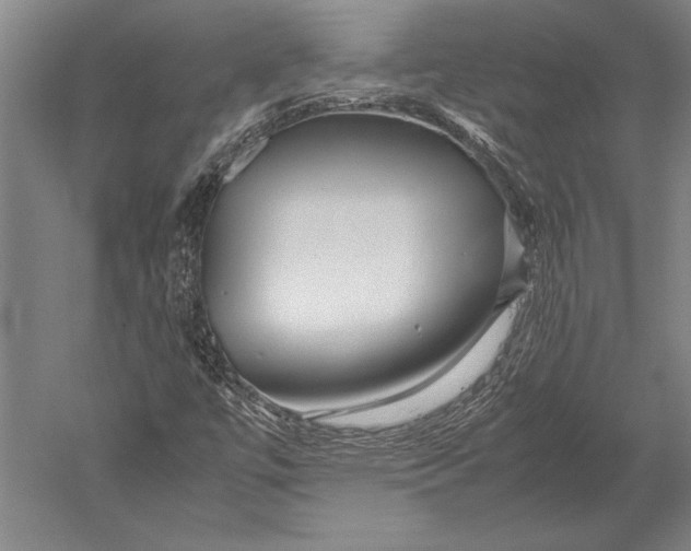 X0000051251447200507082138