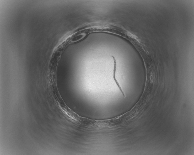 X0000051251448200507082138