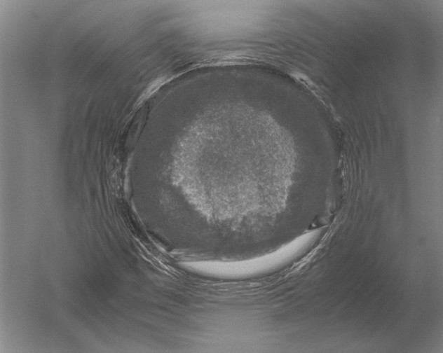 X0000051251449200507082138