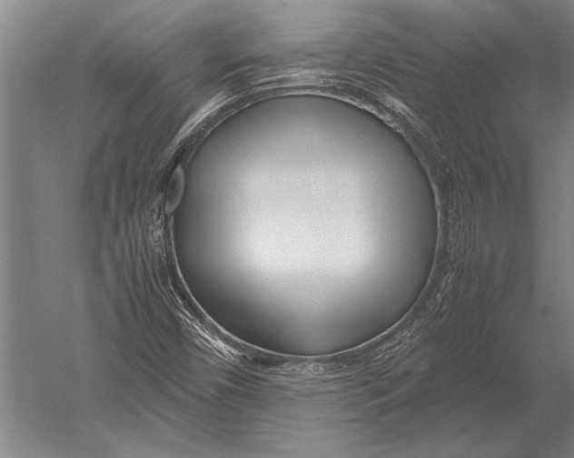 X0000051251450200507082138