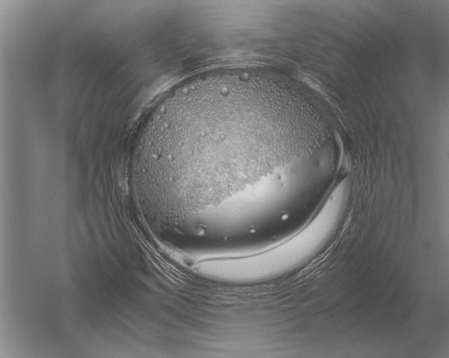 X0000051251451200507082138