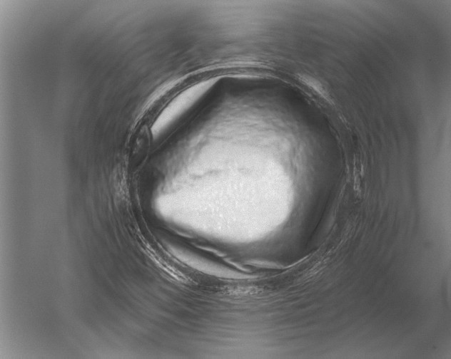 X0000051251452200507082138