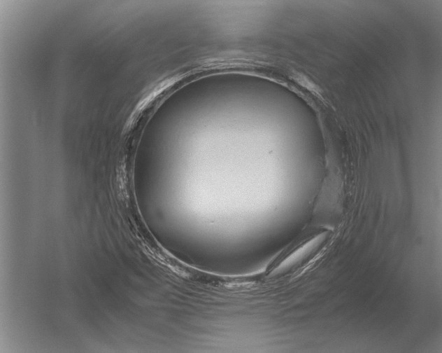 X0000051251453200507082138