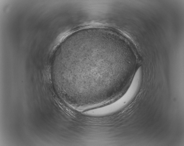 X0000051251455200507082138