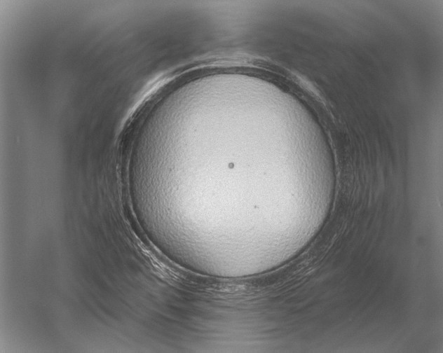 X0000051251456200507082138