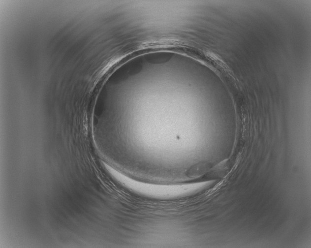 X0000051251457200507082138