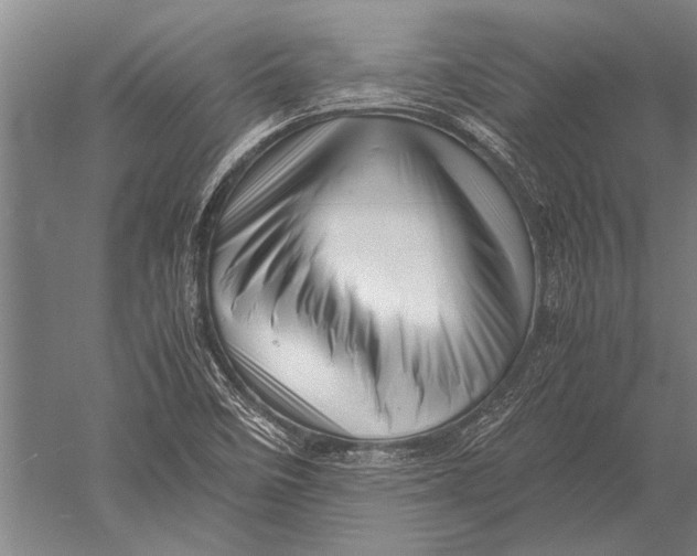 X0000051251458200507082138