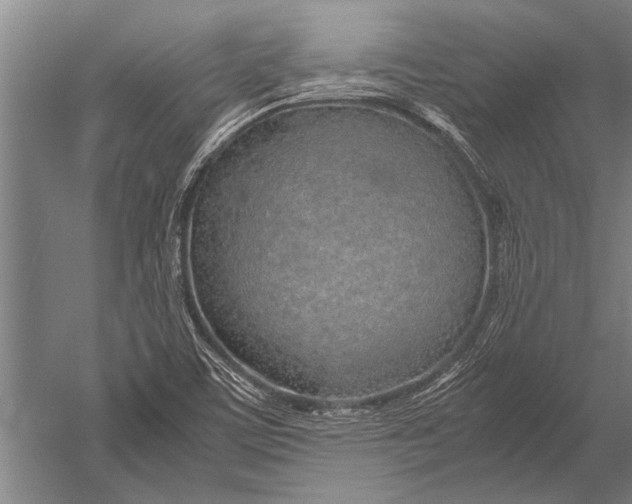 X0000051251459200507082138