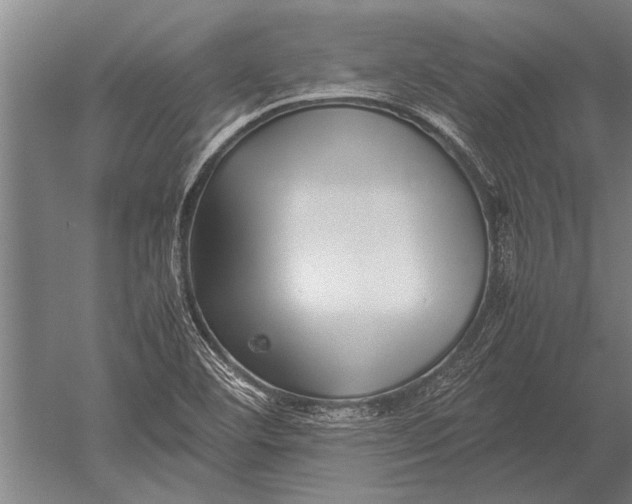 X0000051251460200507082137