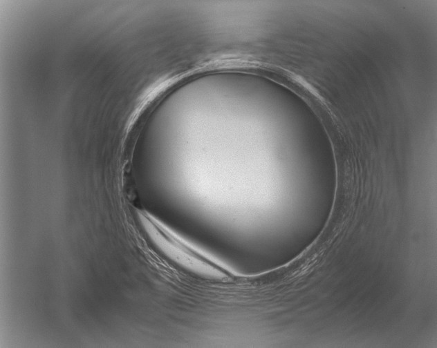 X0000051251461200507082137