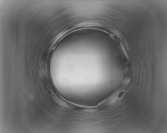 X0000051251465200507082137