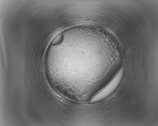 X0000051251467200507082137