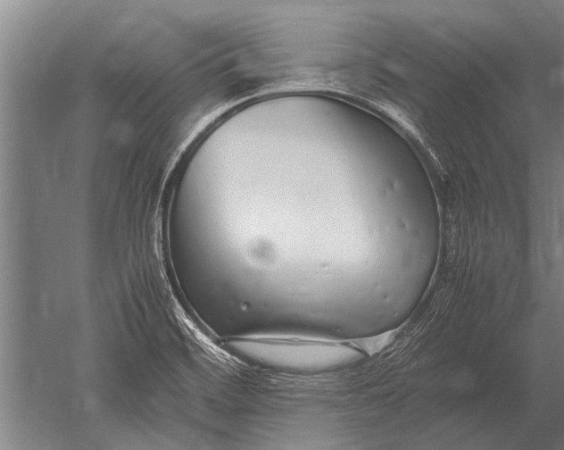 X0000051251468200507082137