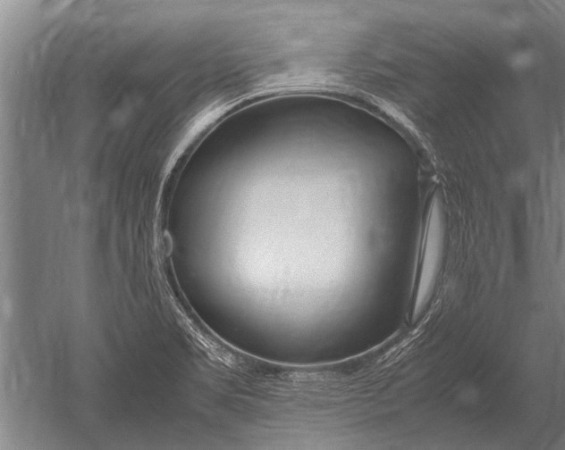 X0000051251469200507082137