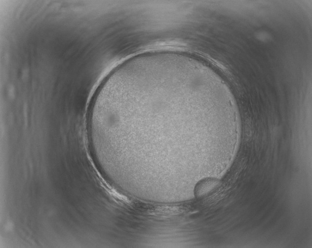 X0000051251470200507082137