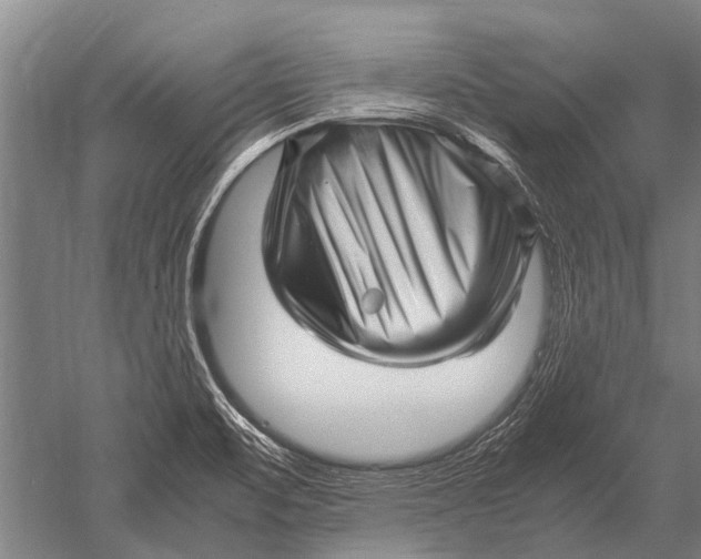 X0000051251471200507082137