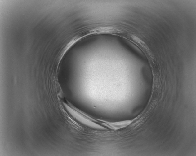 X0000051251473200507082137