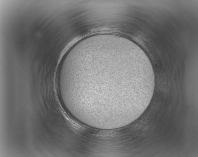 X0000051251474200507082137