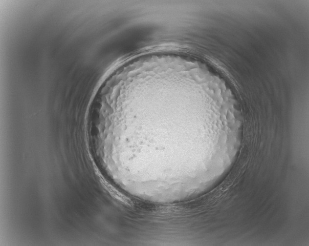 X0000051251475200507082137