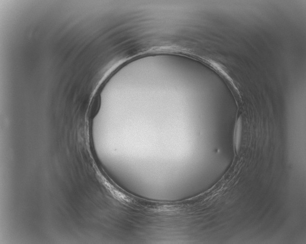 X0000051251476200507082137