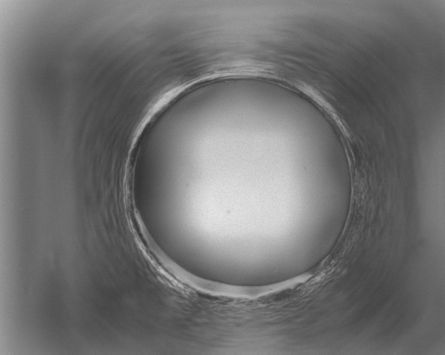 X0000051251477200507082137