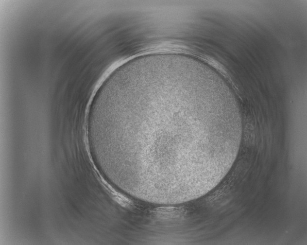 X0000051251478200507082137