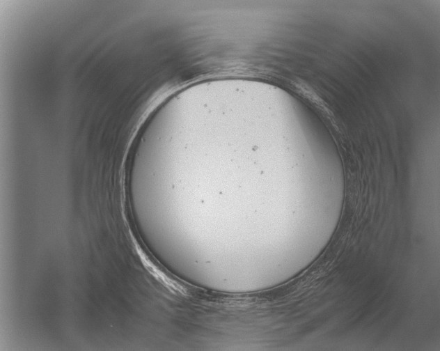 X0000051251479200507082137