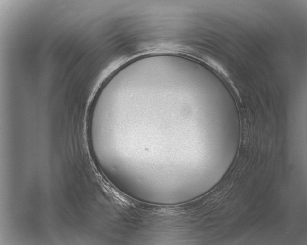 X0000051251480200507082137