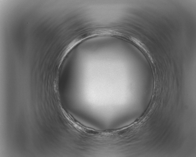 X0000051251481200507082137