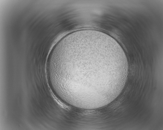 X0000051251482200507082137