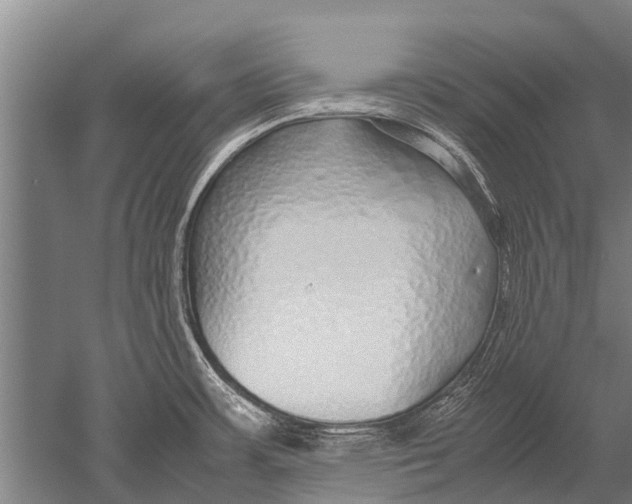 X0000051251483200507082137