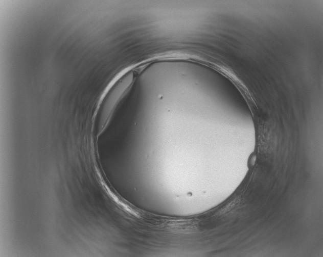 X0000051251484200507082137