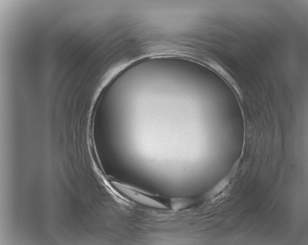 X0000051251485200507082137