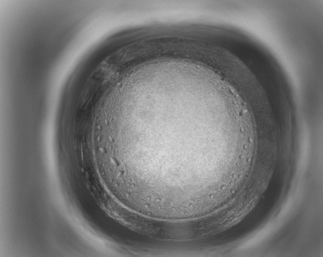 X0000051251487200507082137