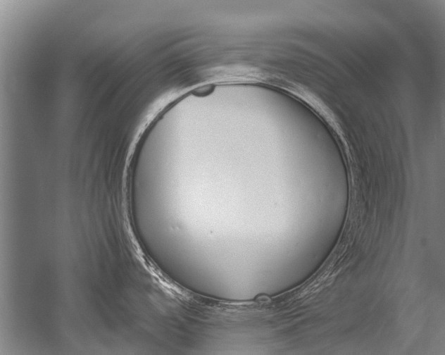 X0000051251488200507082137