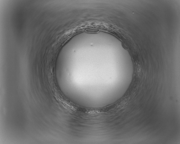 X0000051251489200507082136