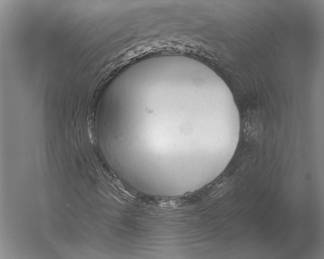 X0000051251490200507082136