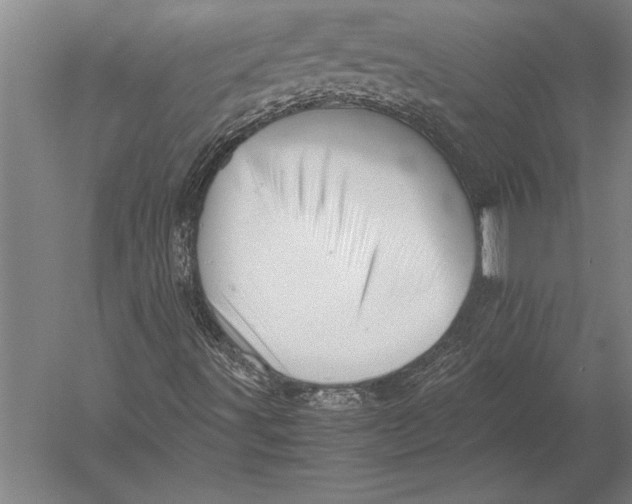 X0000051251491200507082136